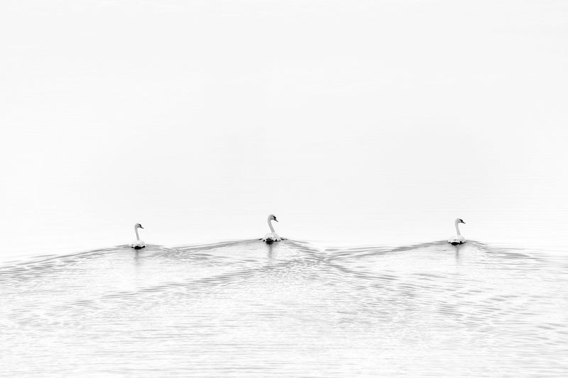 © Shannon Culpepper - Image from the Life Uncharted photography project