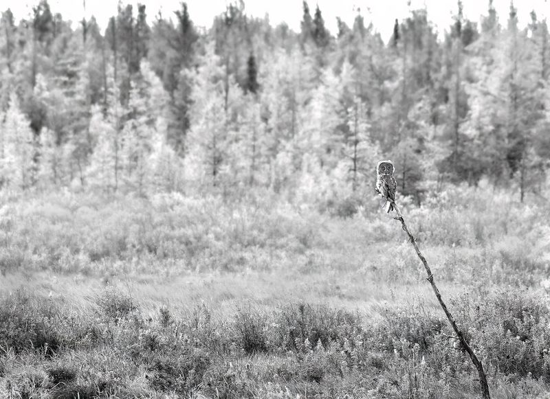 © Shannon Culpepper - Image from the Life Uncharted photography project