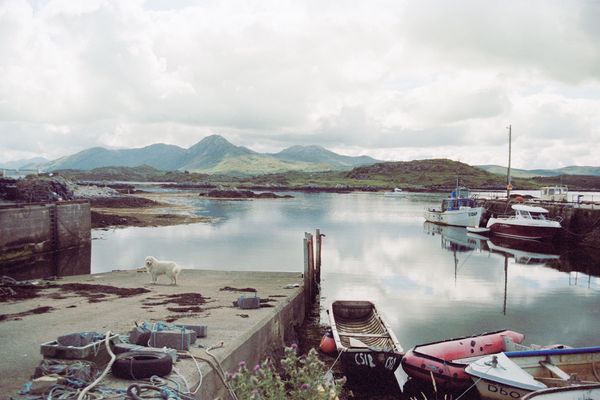 © Irina Kholodna - Image from the New pastorals photography project