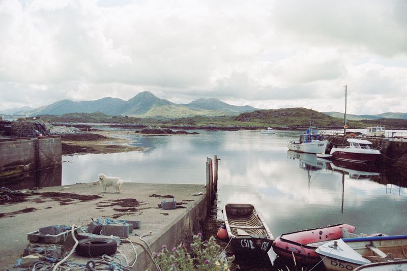 © Irina Kholodna - Image from the New pastorals photography project