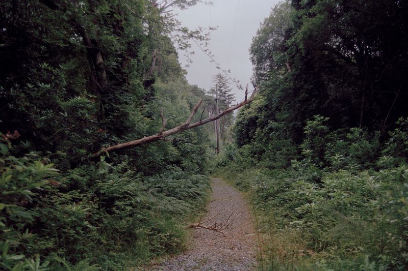 © Irina Kholodna - Image from the New pastorals photography project