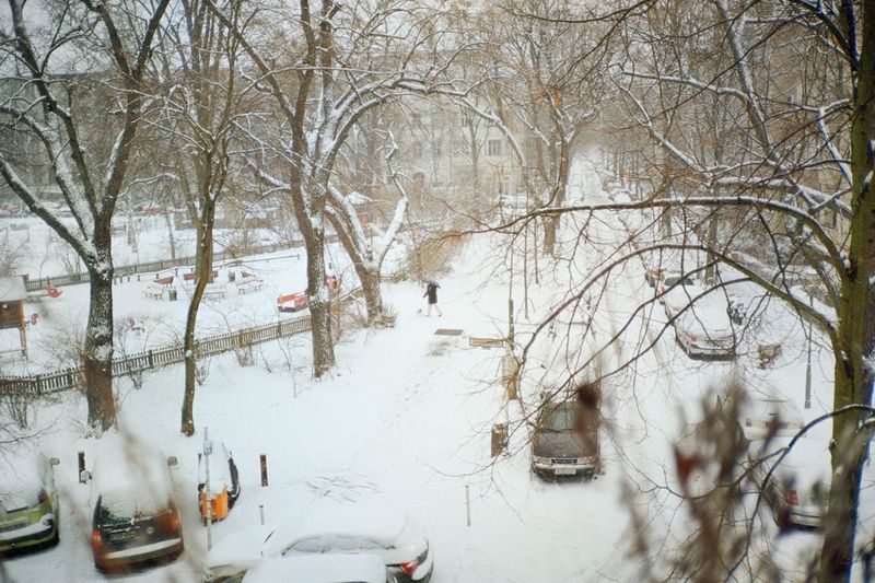 © Irina Kholodna - Image from the New pastorals photography project