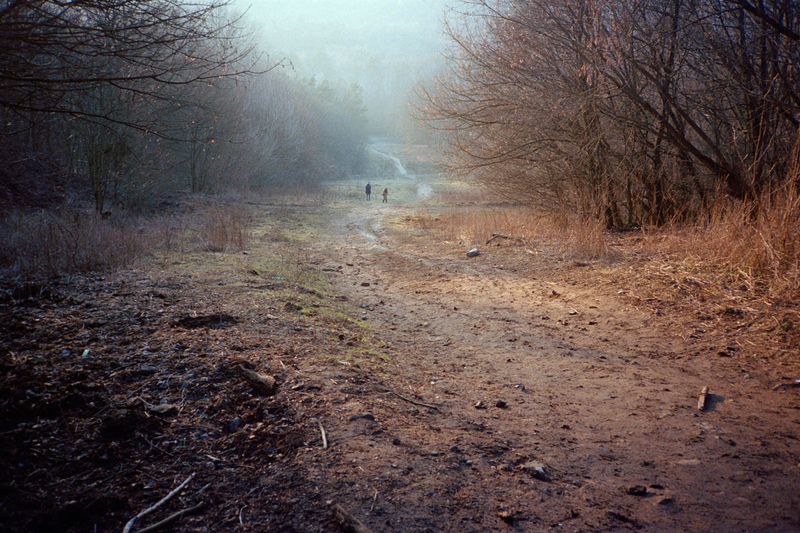 © Irina Kholodna - Image from the New pastorals photography project