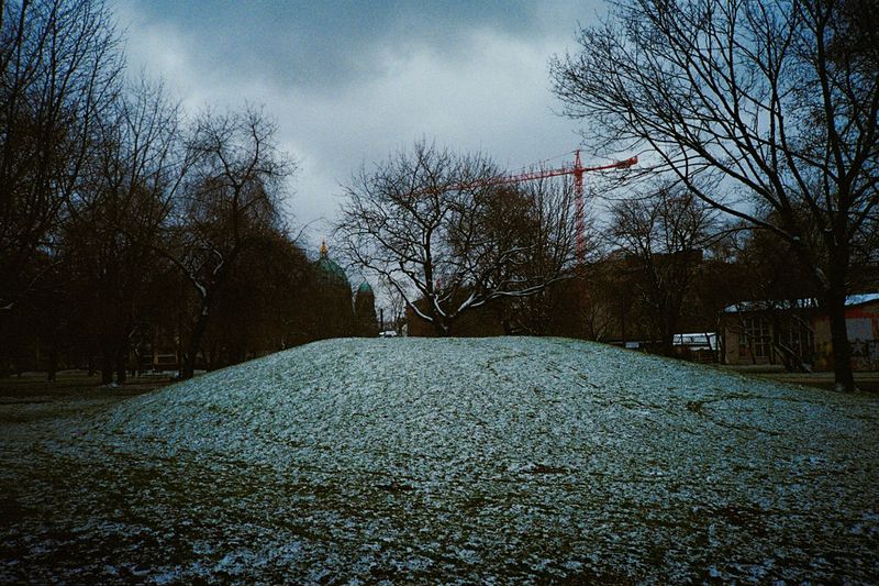 © Irina Kholodna - Image from the New pastorals photography project