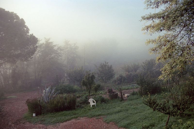 © Irina Kholodna - Image from the New pastorals photography project