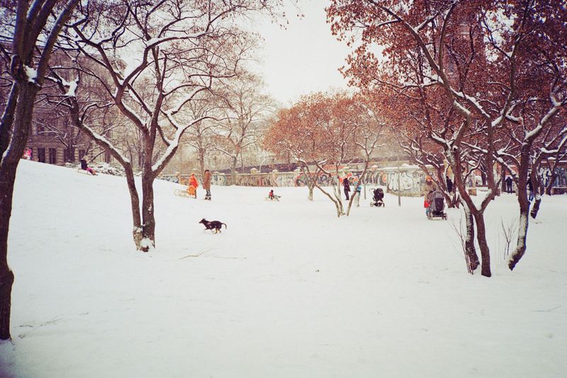 © Irina Kholodna - Image from the New pastorals photography project