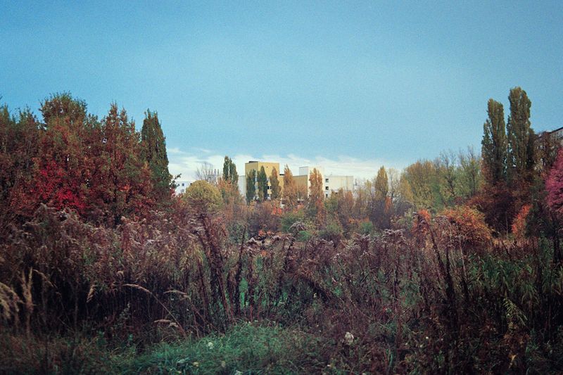 © Irina Kholodna - Image from the New pastorals photography project