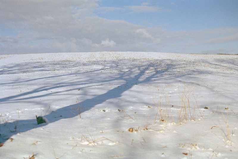 © Irina Kholodna - Image from the It’s About Time photography project