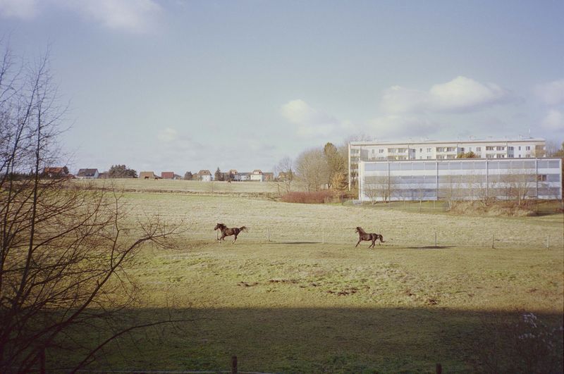© Irina Kholodna - Image from the It’s About Time photography project