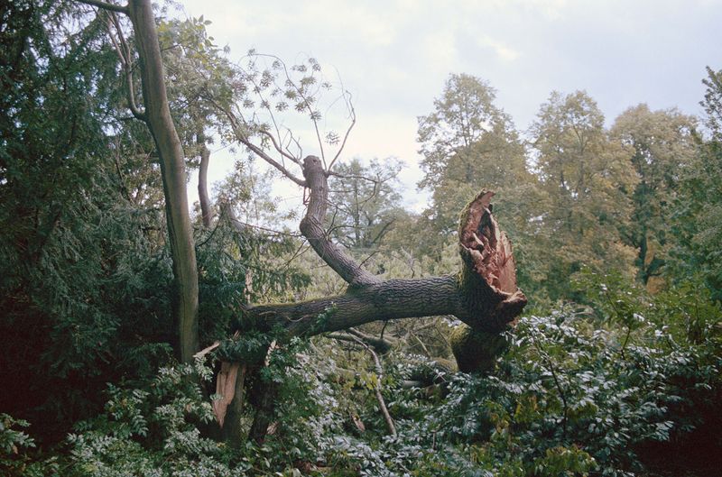 © Irina Kholodna - Image from the It’s About Time photography project