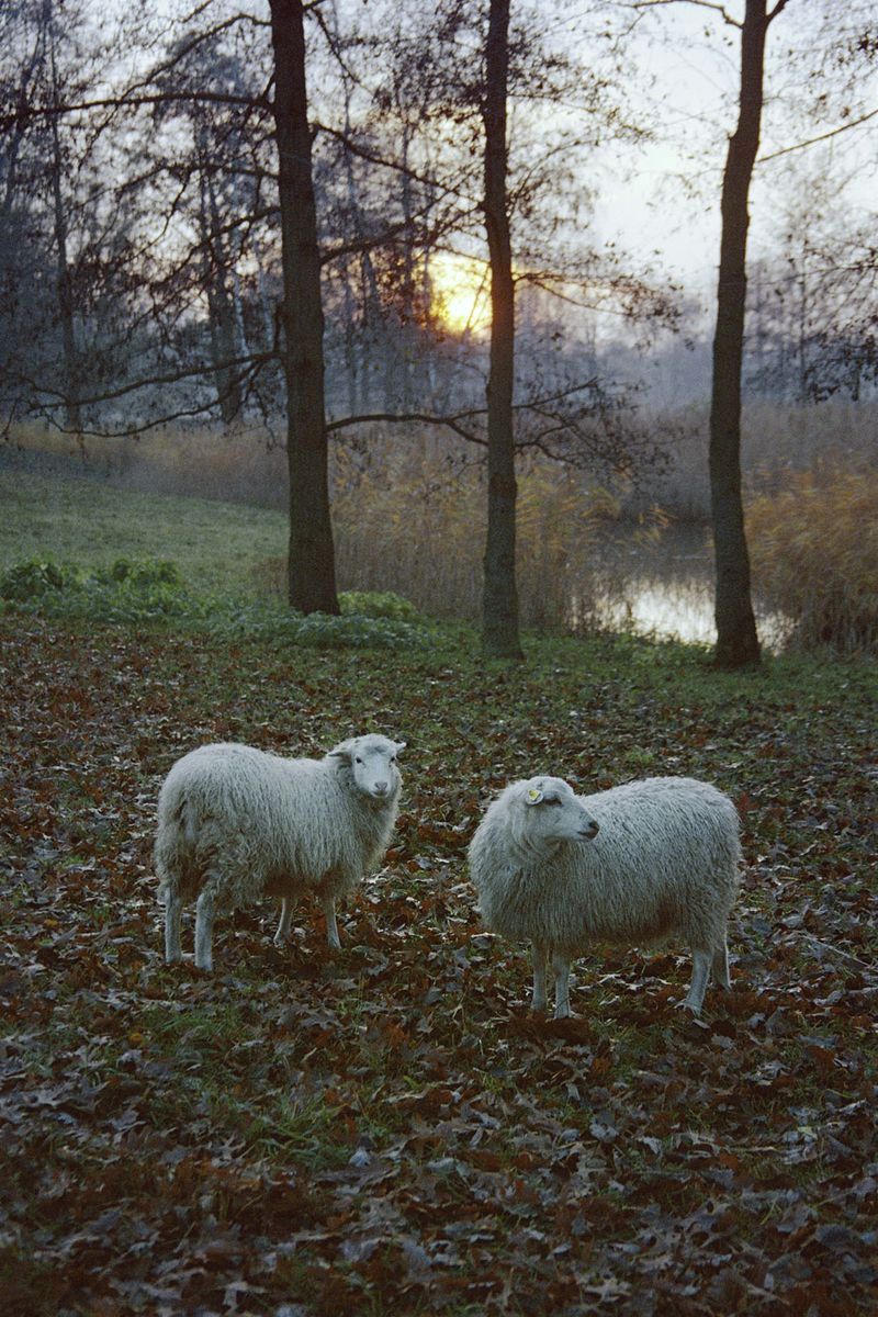© Irina Kholodna - Image from the It’s About Time photography project