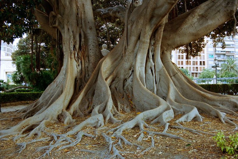 © Irina Kholodna - Image from the It’s About Time photography project