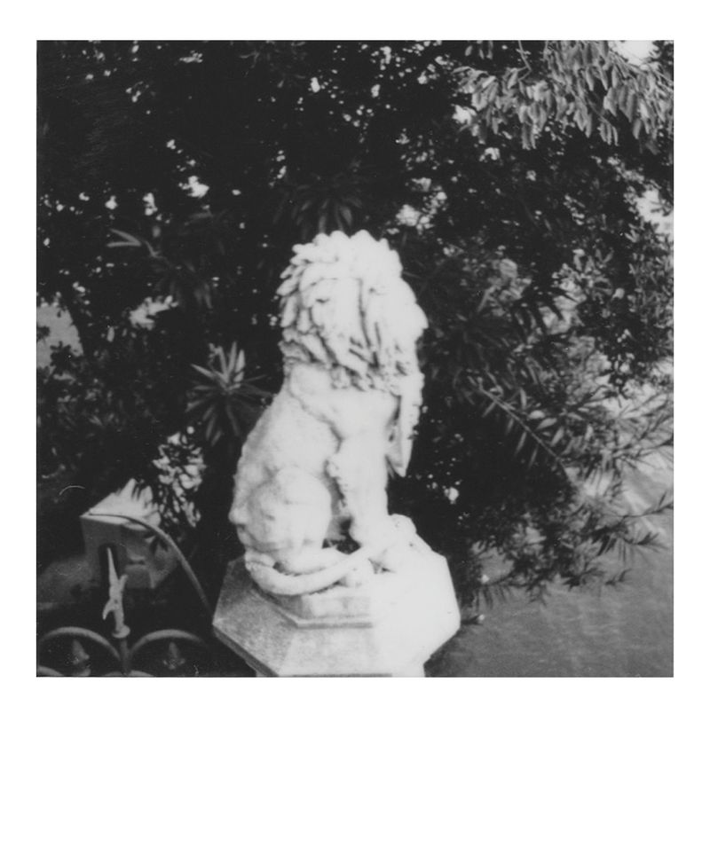 © Irina Kholodna - Image from the Venice, November photography project