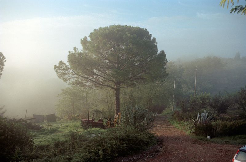 © Irina Kholodna - Image from the The Dutch Album photography project