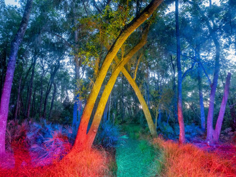 © David Walter Banks - Image from the Trembling Earth photography project