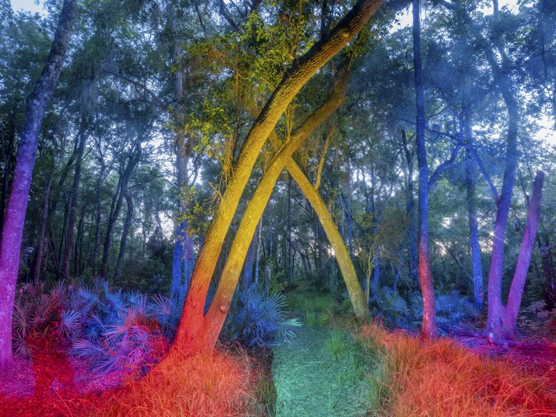 © David Walter Banks - Image from the Trembling Earth photography project