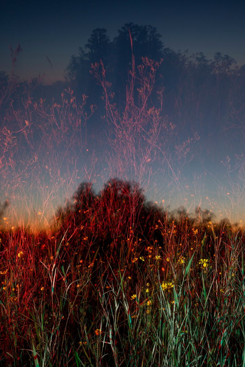 © David Walter Banks - Image from the Trembling Earth photography project