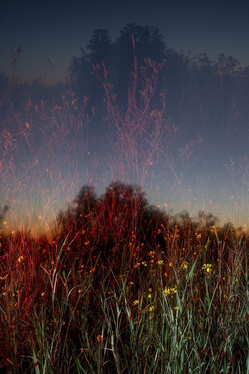 © David Walter Banks - Image from the Trembling Earth photography project