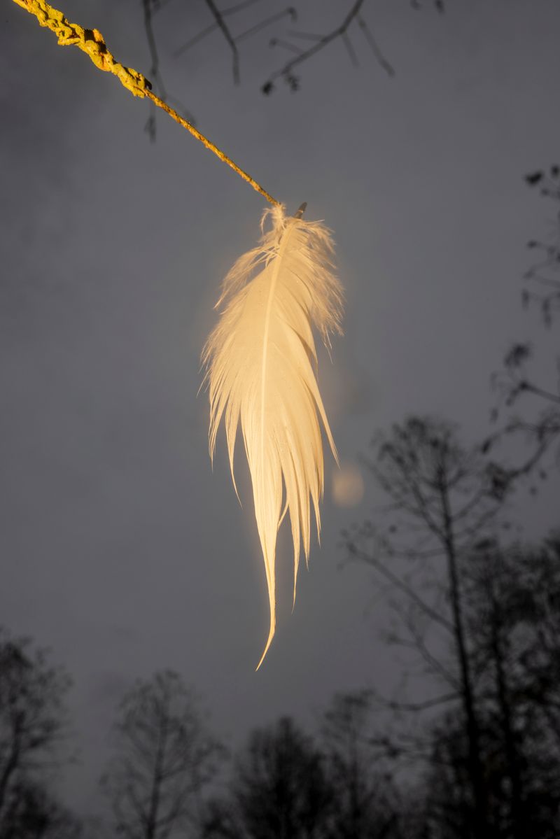 © David Walter Banks - Image from the Trembling Earth photography project