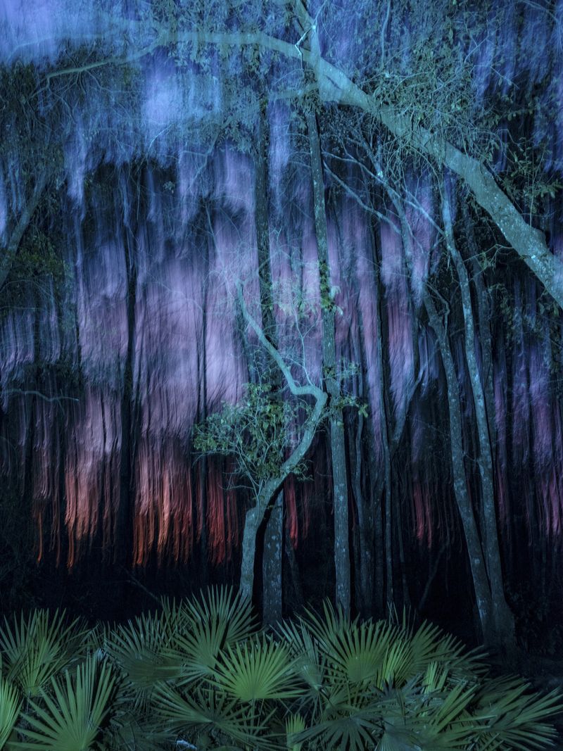 © David Walter Banks - Night descends upon the small island at the west end of Billys Lake in Georgia's Okefenokee Swamp.