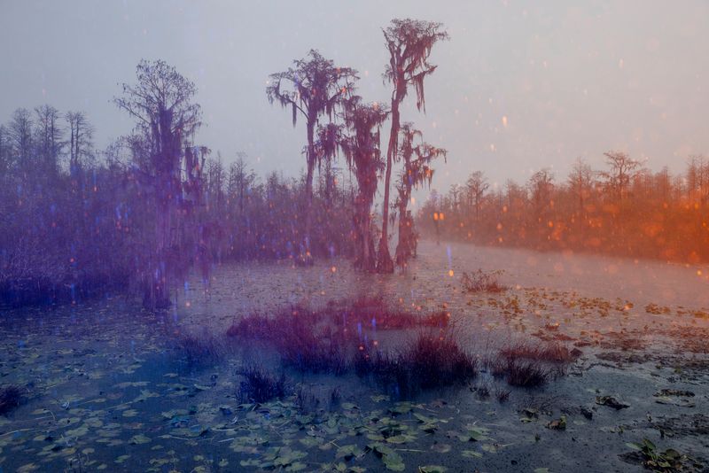 © David Walter Banks - A slow exposure during a driving rainstorm on Big Water Lake inside Georgia’s Okefenokee Swamp.