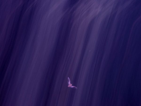 © David Walter Banks - Image from the Trembling Earth photography project