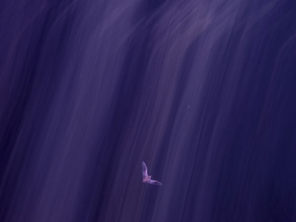 © David Walter Banks - Image from the Trembling Earth photography project
