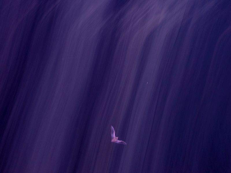 © David Walter Banks - Image from the Trembling Earth photography project