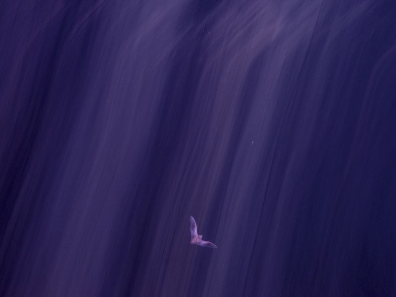 © David Walter Banks - Image from the Trembling Earth photography project