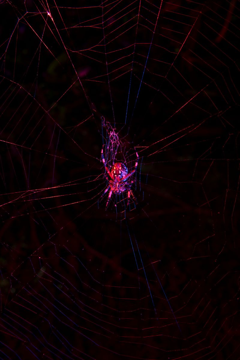 © David Walter Banks - Image from the Trembling Earth photography project