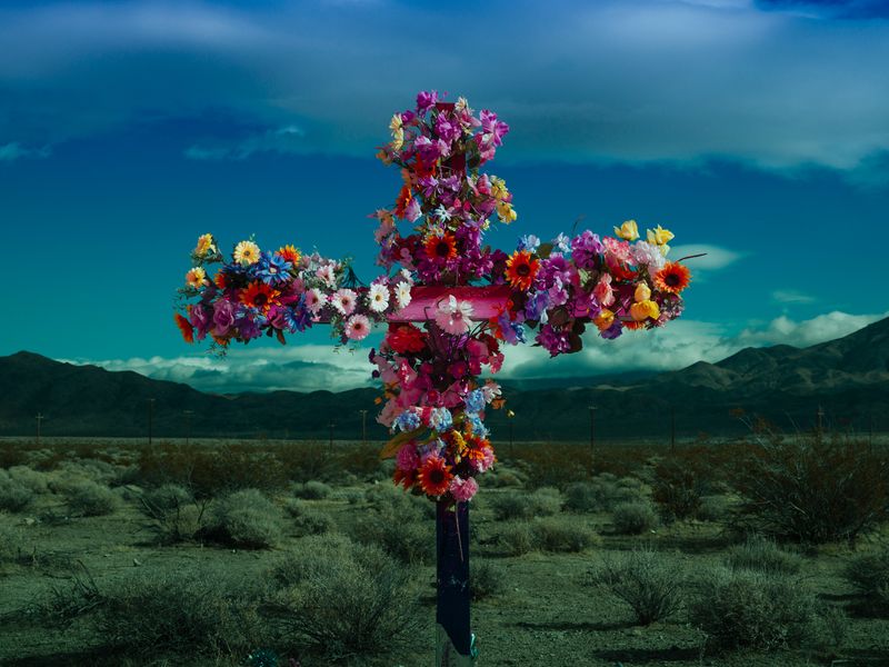 © David Walter Banks - In Memoriam.