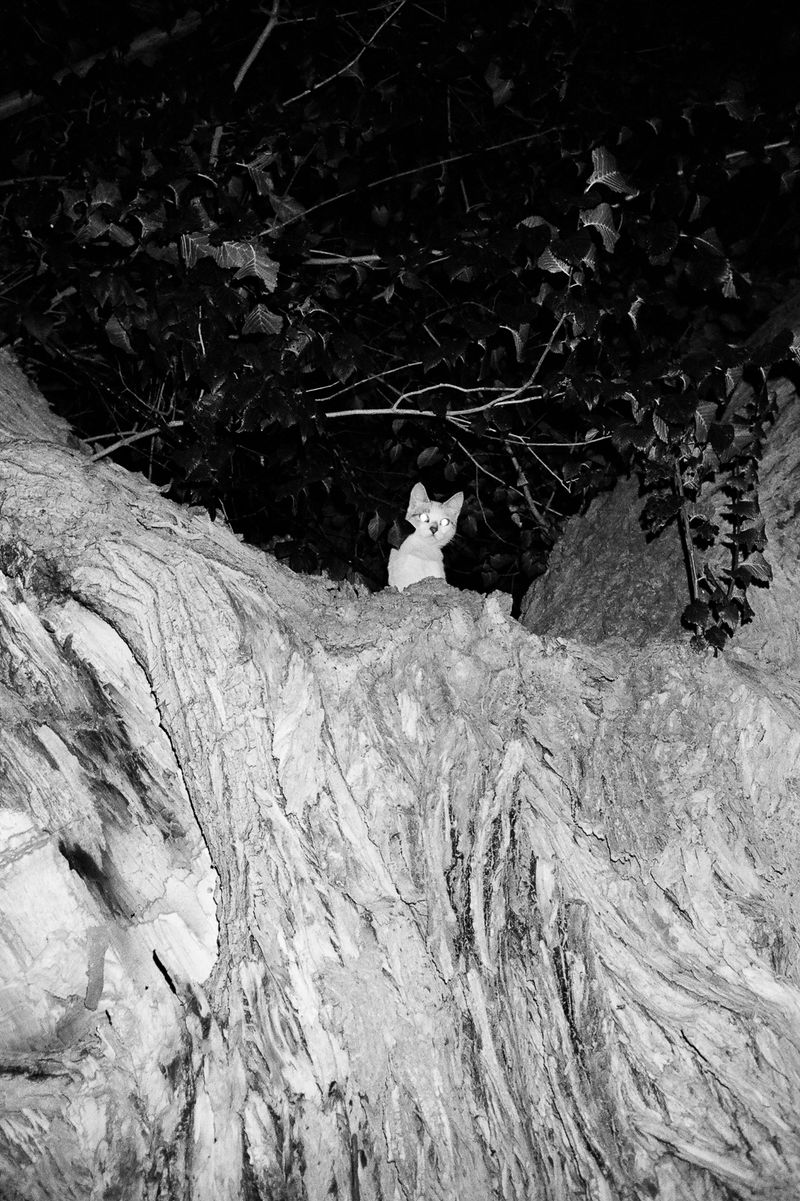 © Sole Satana - Image from the From A Bad Place photography project