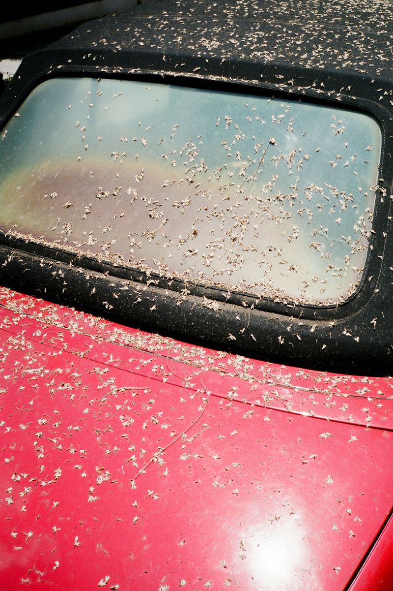 © Sole Satana - Image from the From A Bad Place photography project