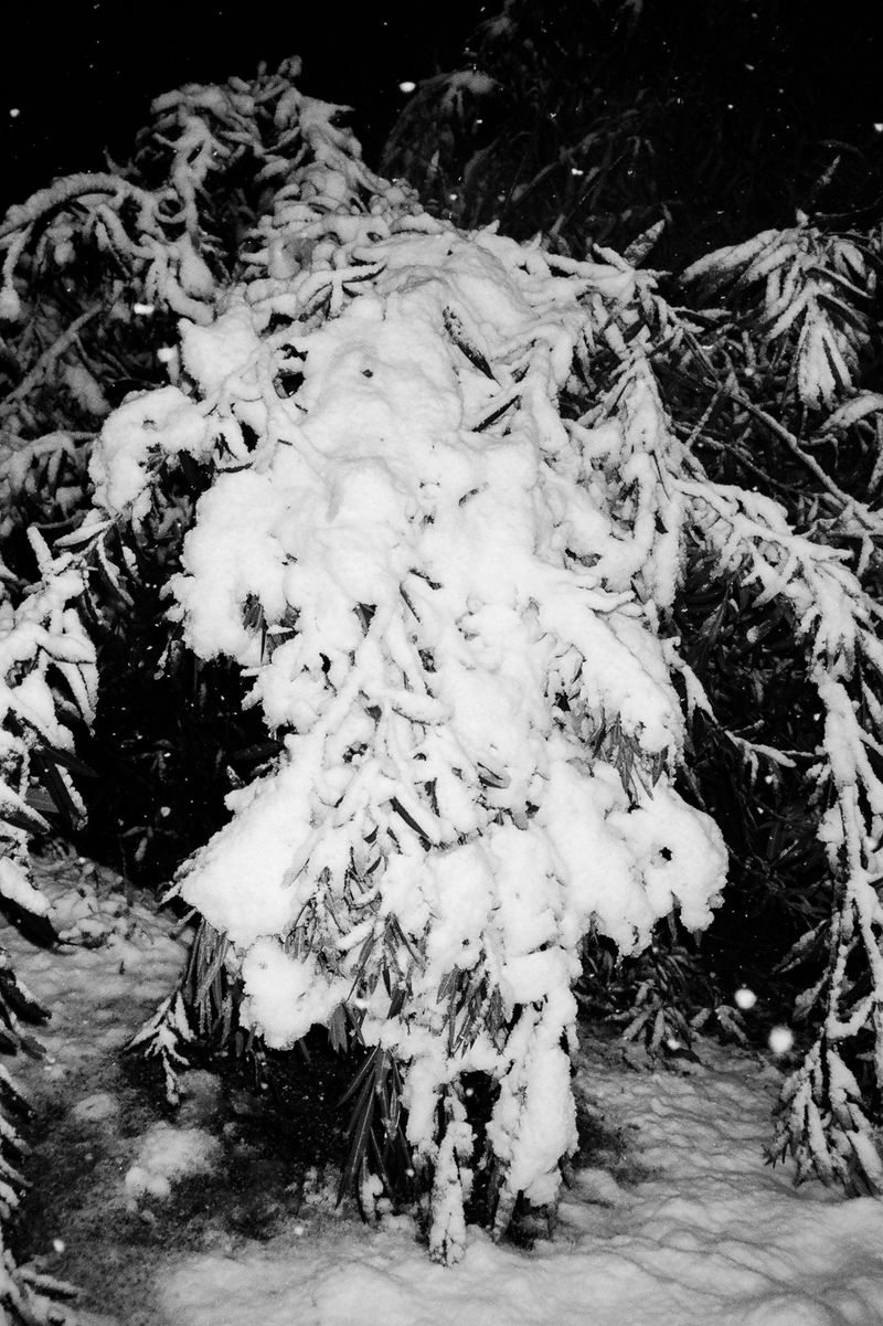 © Sole Satana - Image from the From A Bad Place photography project