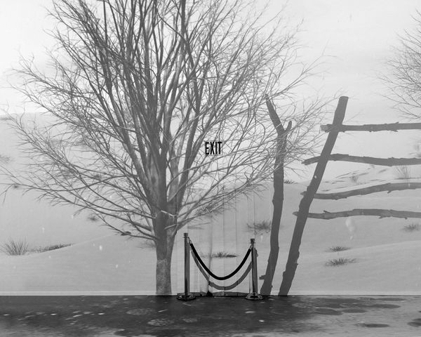 © Shelli Weiler - Image from the Techniques of the Liar photography project