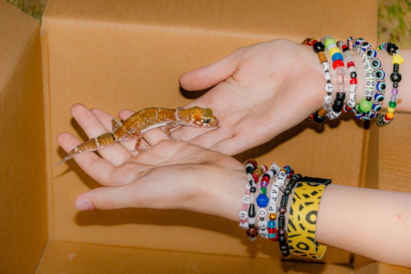 © Emmaline Zanelli - Cody* sits in her front yard after school, showing me her pet barking gecko. 2023