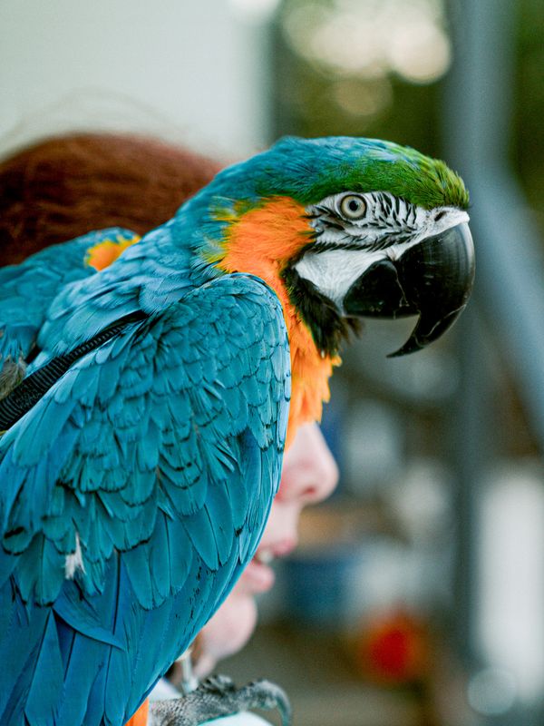 © Emmaline Zanelli - Image from the Olympic Village photography project