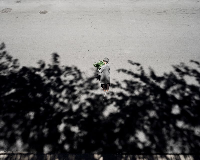 © Clarissa Bonet - Curated Landscape, 2019