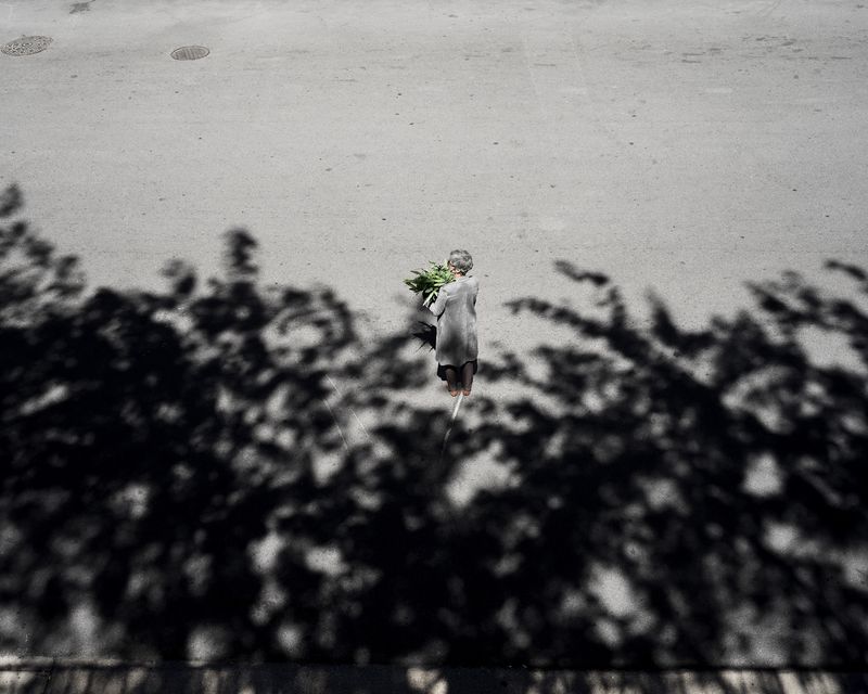 © Clarissa Bonet - Curated Landscape, 2019