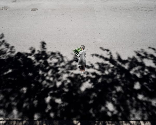 © Clarissa Bonet - Curated Landscape, 2019