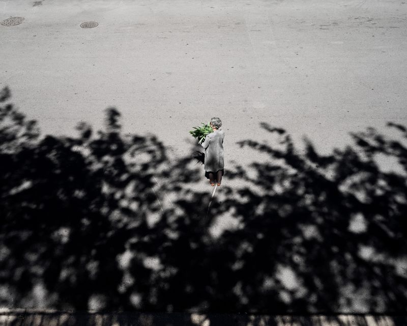 © Clarissa Bonet - Curated Landscape, 2019