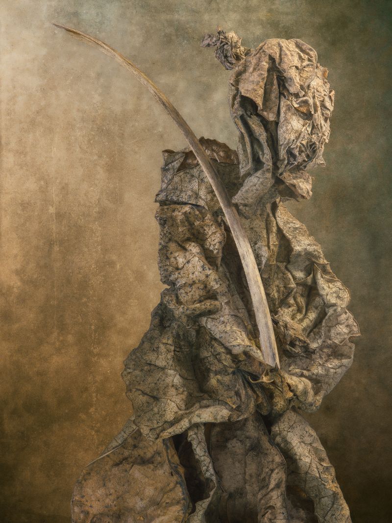 © David Hartwell - Samurai