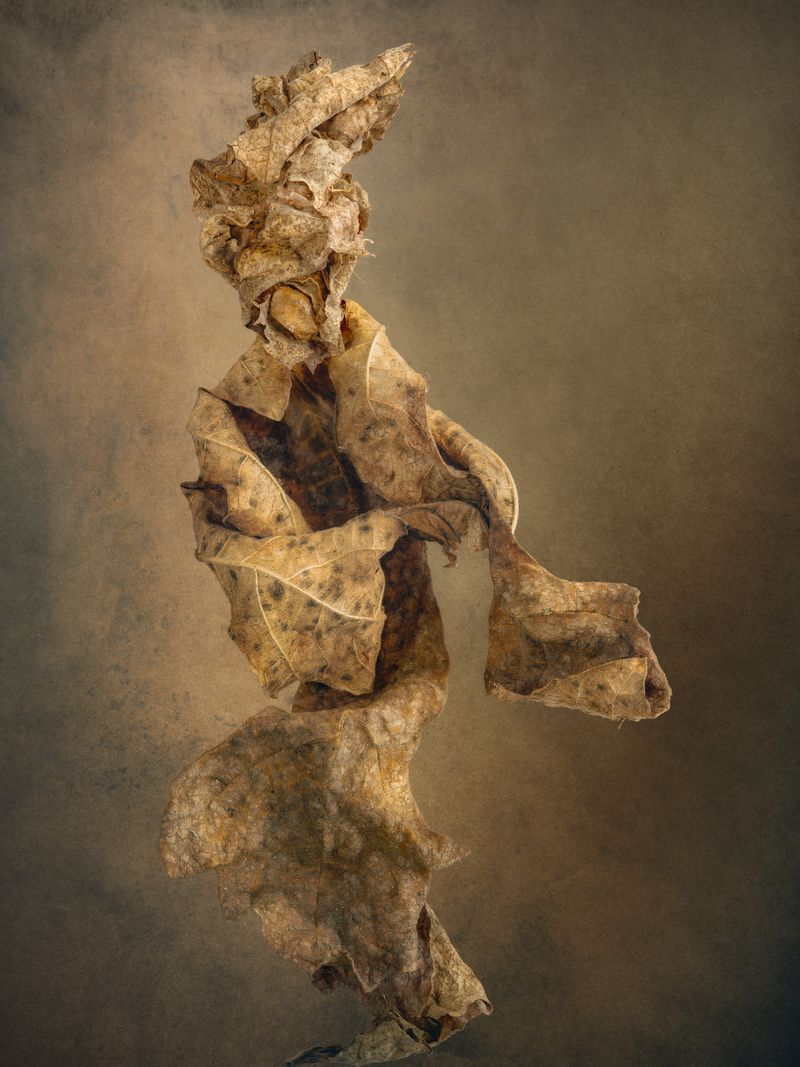 © David Hartwell - Jester