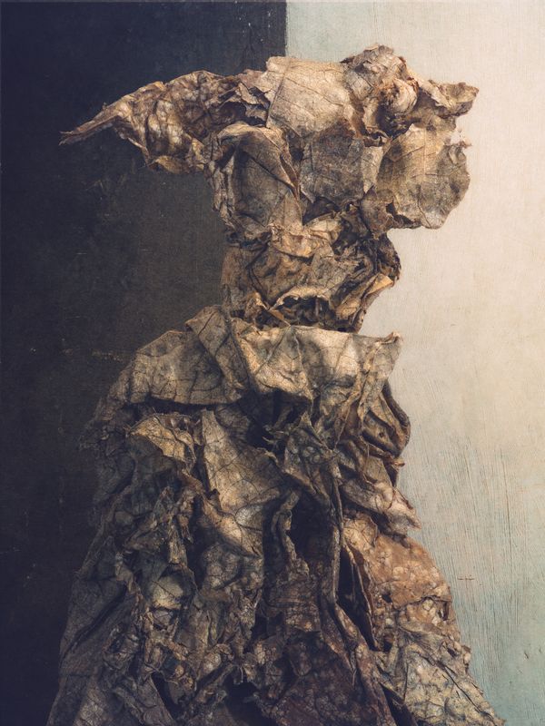 © David Hartwell - Dunce