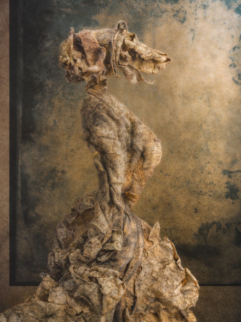 © David Hartwell - La Lupa