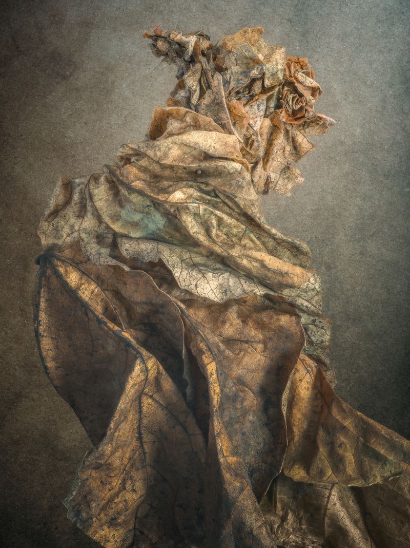 © David Hartwell - Cartouche, the King of Paris