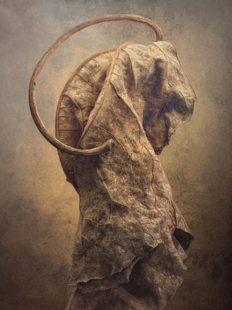 © David Hartwell - Satyr