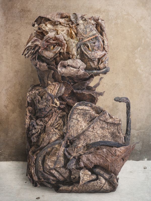 © David Hartwell - Tlaltecuhtli