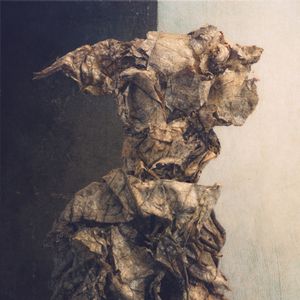 Pareidolia: Primeval Awareness or Generative Biological Intelligence?