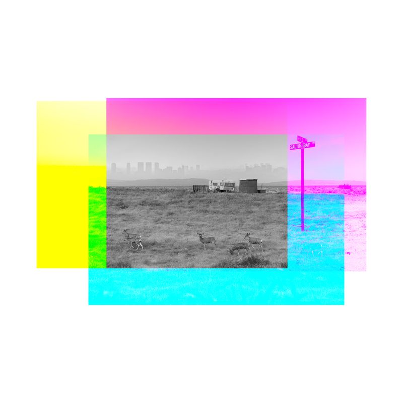 © David Hartwell - Image from the Plausible Landscapes photography project